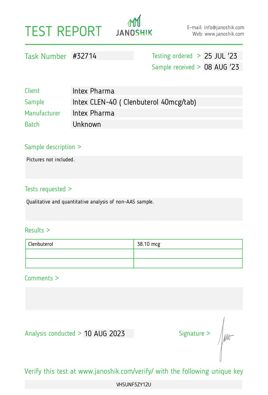 Intex Clen - Image 3
