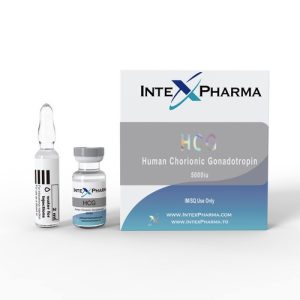 Intex HCG 5000iu